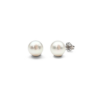 18K White Gold South Sea Pearl Earrings