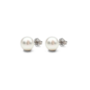 18K White Gold South Sea Pearl Earrings