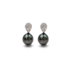 18K White Gold Tahitian Black Pearl Earrings