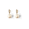 Autore 18K Gold South Sea Pearl Earrings